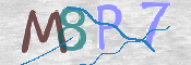 CAPTCHA 驗證圖片