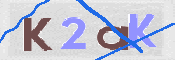 CAPTCHA 驗證圖片