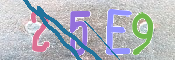 CAPTCHA 驗證圖片