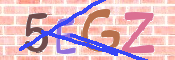 CAPTCHA 驗證圖片