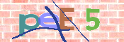 CAPTCHA 驗證圖片