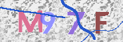 CAPTCHA 驗證圖片