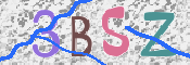 CAPTCHA 驗證圖片