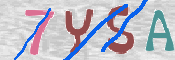 CAPTCHA 驗證圖片
