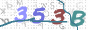 CAPTCHA 驗證圖片