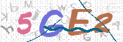 CAPTCHA 驗證圖片