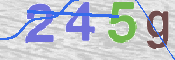 CAPTCHA 驗證圖片