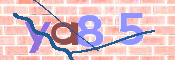CAPTCHA 驗證圖片