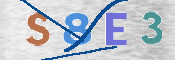 CAPTCHA 驗證圖片