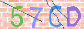 CAPTCHA 驗證圖片