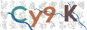 CAPTCHA 驗證圖片