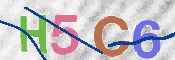CAPTCHA 驗證圖片