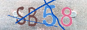 CAPTCHA 驗證圖片