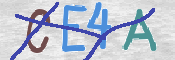 CAPTCHA 驗證圖片