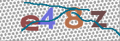 CAPTCHA 驗證圖片