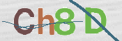 CAPTCHA 驗證圖片