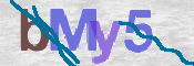 CAPTCHA 驗證圖片