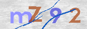 CAPTCHA 驗證圖片