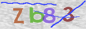 CAPTCHA 驗證圖片