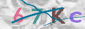 CAPTCHA 驗證圖片