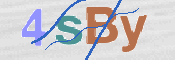 CAPTCHA 驗證圖片