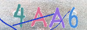 CAPTCHA 驗證圖片