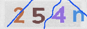 CAPTCHA 驗證圖片