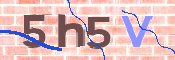 CAPTCHA 驗證圖片