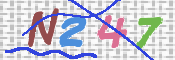 CAPTCHA 驗證圖片