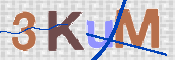 CAPTCHA 驗證圖片
