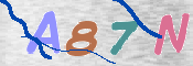 CAPTCHA 驗證圖片