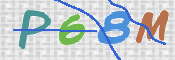 CAPTCHA 驗證圖片