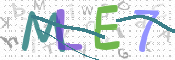 CAPTCHA 驗證圖片