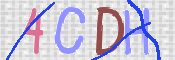 CAPTCHA 驗證圖片