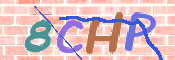 CAPTCHA 驗證圖片