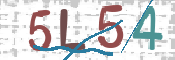 CAPTCHA 驗證圖片