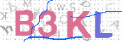 CAPTCHA 驗證圖片