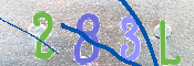 CAPTCHA 驗證圖片