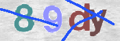CAPTCHA 驗證圖片