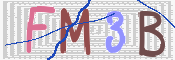 CAPTCHA 驗證圖片