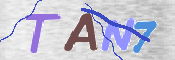 CAPTCHA 驗證圖片