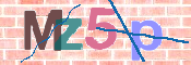 CAPTCHA 驗證圖片