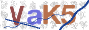 CAPTCHA 驗證圖片