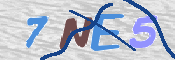 CAPTCHA 驗證圖片