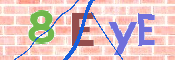 CAPTCHA 驗證圖片
