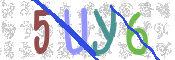 CAPTCHA 驗證圖片