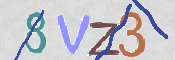 CAPTCHA 驗證圖片