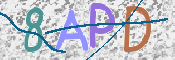 CAPTCHA 驗證圖片