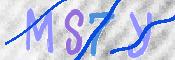 CAPTCHA 驗證圖片