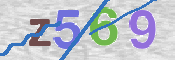 CAPTCHA 驗證圖片